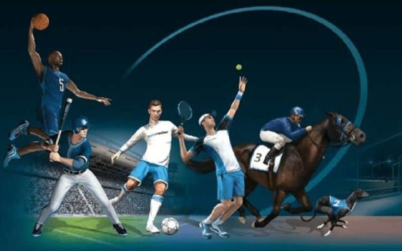 Những loại cá cược trong Thể Thao F8betht baby